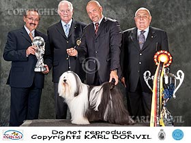 dogs breeders dog pictures