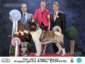 honden fokkers en hond foto's