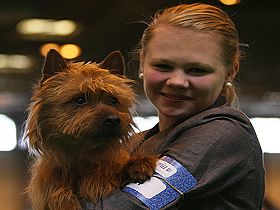 chien �leveurs chiens photos