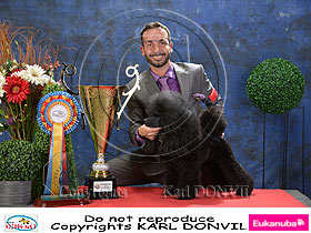 dogs breeders dog pictures