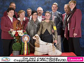 dogs breeders dog pictures