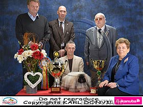 dogs breeders dog pictures