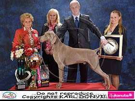 dogs breeders dog pictures