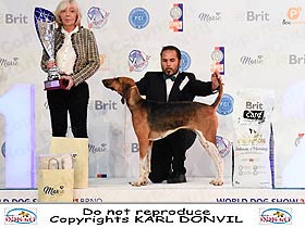 honden fokkers en hond foto's
