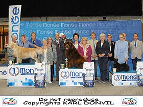 honden fokkers en hond foto's