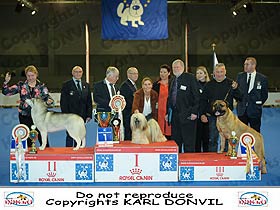 honden fokkers en hond foto's